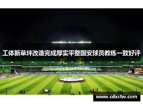 工体新草坪改造完成厚实平整国安球员教练一致好评 工体新草坪改造完成厚实平整国安球员教练一致好评